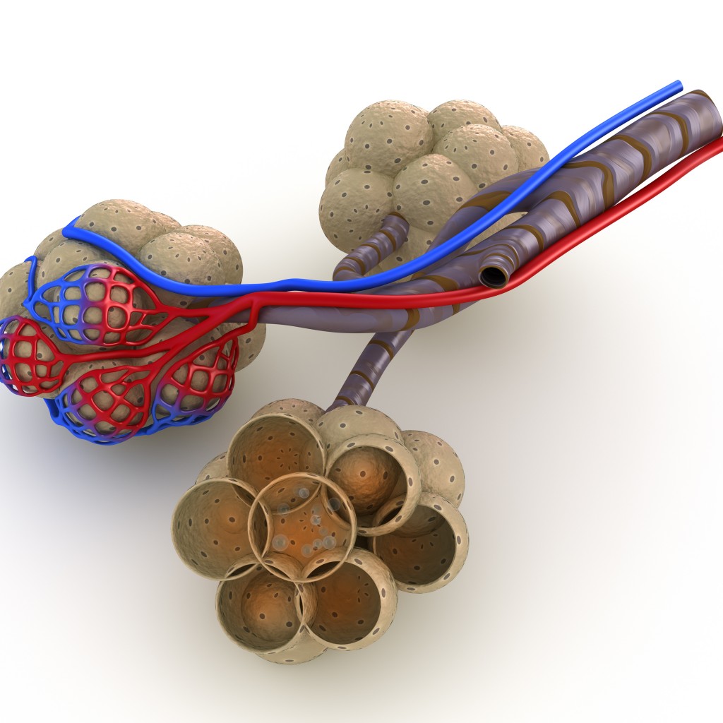 Chloroquine uk boots
