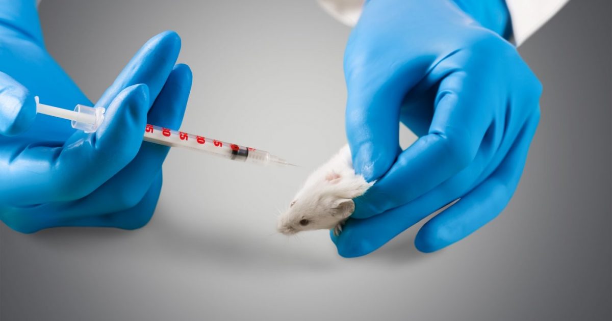 New Cannabinoidbased Drug Slows Fibrosis, Blocks