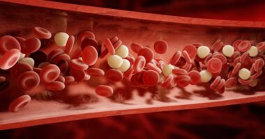 Galectin-3 blood levels