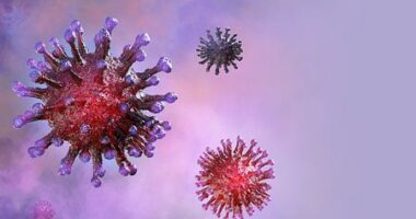 covid-19 precautions