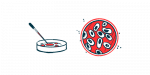 An illustration of a petri dish.