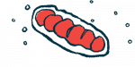 An illustration of a cell's mitochondria.