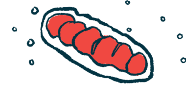 An illustration of a cell's mitochondria.