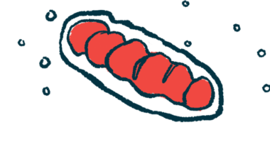 An illustration of a cell's mitochondria.