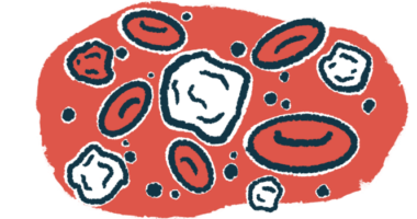 An illustration of white blood cells, immune cells that help to fight infection.