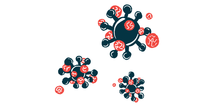 An illustration provides a close-up view of three cells.