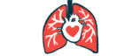 Illustration of a human heart and lungs.