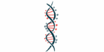 An illustration of DNA highlights its double-helix structure.