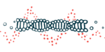 A strand of DNA's double helix is shown.